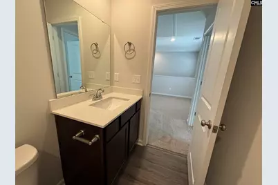 329 Pinaster Path, West Columbia, SC 29170 - Photo 21