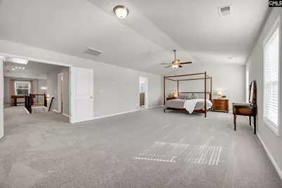 209 Chapin Place Way, Chapin, SC 29036 - Photo 29