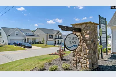 209 Chapin Place Way, Chapin, SC 29036 - Photo 53
