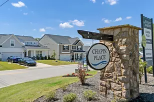 209 Chapin Pl Wy, Chapin, SC 29036 - Photo 53