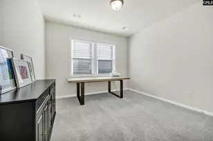 209 Chapin Pl Wy, Chapin, SC 29036 - Photo 21