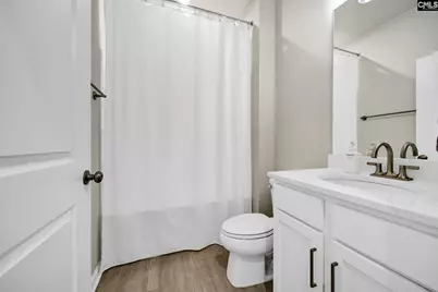 209 Chapin Place Way, Chapin, SC 29036 - Photo 23