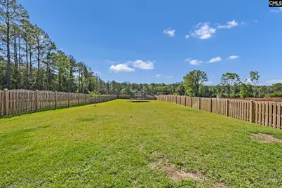 209 Chapin Place Way, Chapin, SC 29036 - Photo 47