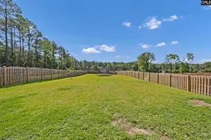 209 Chapin Pl Wy, Chapin, SC 29036 - Photo 47