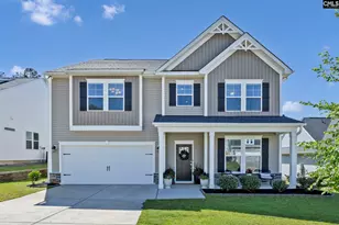 209 Chapin Pl Wy, Chapin, SC 29036 - Photo 1