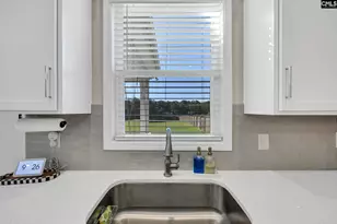 209 Chapin Pl Wy, Chapin, SC 29036 - Photo 13