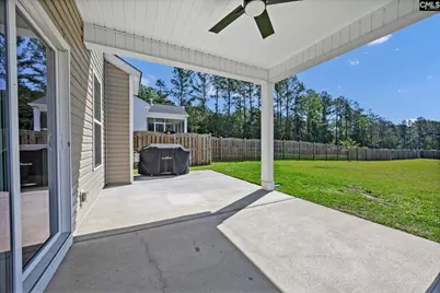 209 Chapin Place Way, Chapin, SC 29036 - Photo 45