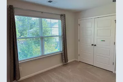309 Lanyard Lane, Chapin, SC 29036 - Photo 53