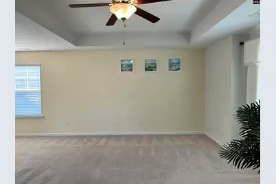 309 Lanyard Lane, Chapin, SC 29036 - Photo 33