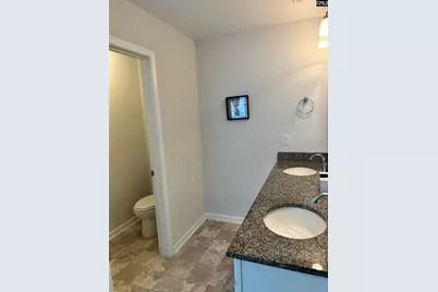309 Lanyard Lane, Chapin, SC 29036 - Photo 41