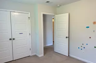 309 Lanyard Ln, Chapin, SC 29036 - Photo 51