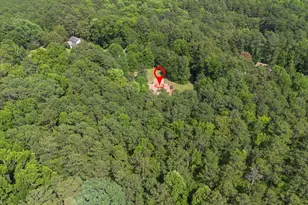 14 Dennis Ln, Blythewood, SC 29016 - Photo 75