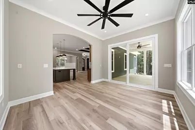 149 Primrose Lane, Chapin, SC 29036 - Photo 47