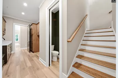 149 Primrose Lane, Chapin, SC 29036 - Photo 55