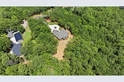 149 Primrose Lane, Chapin, SC 29036 - Photo 63