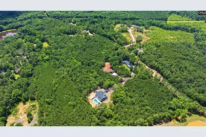 149 Primrose Lane, Chapin, SC 29036 - Photo 67