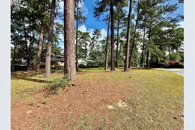 5903 Sylvan Drive, Columbia, SC 29206 - Photo 5