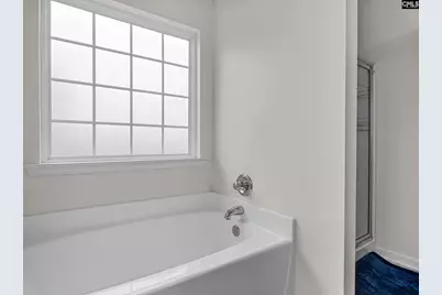 403 Whispering Oak Circle, Chapin, SC 29073 - Photo 21