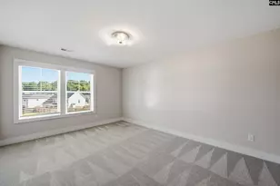 133 Collins Cv Dr, Chapin, SC 29036 - Photo 39