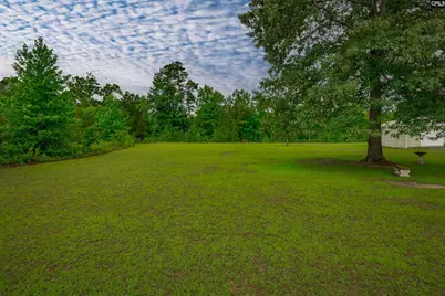 235 Sorin Circle, Elloree, SC 29047 - Photo 45
