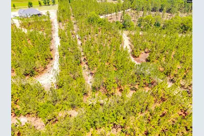 1549 Lawhorn Road #6, Cassatt, SC 29032 - Photo 17