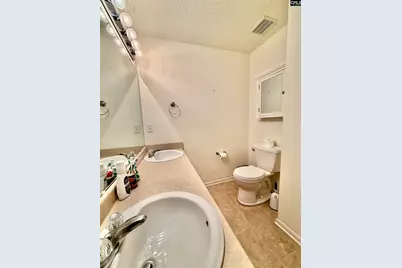 206 Rainwater Drive, Lexington, SC 29072 - Photo 9
