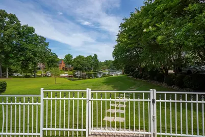 226 Forty Love Point, Chapin, SC 29036 - Photo 67
