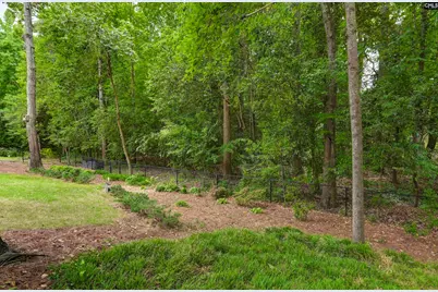 412 Ivy Green Lane, Lexington, SC 29072 - Photo 47