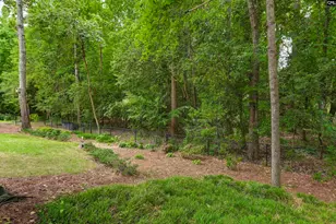 412 Ivy Green Ln, Lexington, SC 29072 - Photo 47