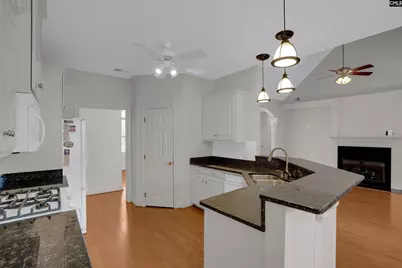 103 Cabot Bay Drive, Chapin, SC 29036 - Photo 15