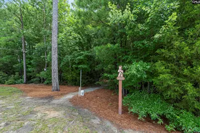 2005 Harvestwood Lane, Chapin, SC 29036 - Photo 29