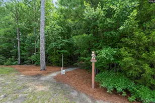 2005 Harvestwood Ln, Chapin, SC 29036 - Photo 29
