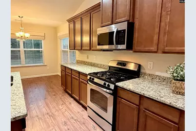 328 Baneberry Loop, Lexington, SC 29073 - Photo 9