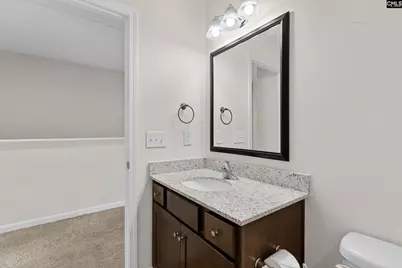 346 Gum Swamp Trail, West Columbia, SC 29169 - Photo 23