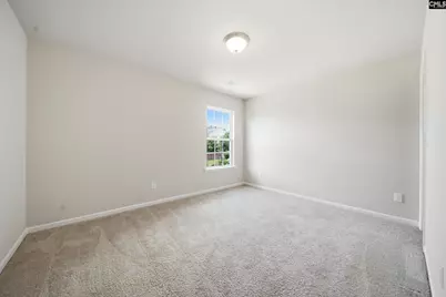 384 Explorer Drive, Chapin, SC 29036 - Photo 19