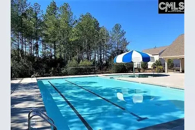 384 Explorer Drive, Chapin, SC 29036 - Photo 31
