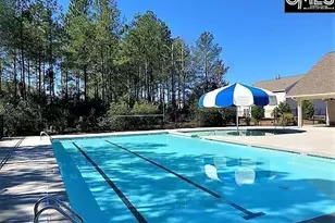 384 Explorer Dr, Chapin, SC 29036 - Photo 31
