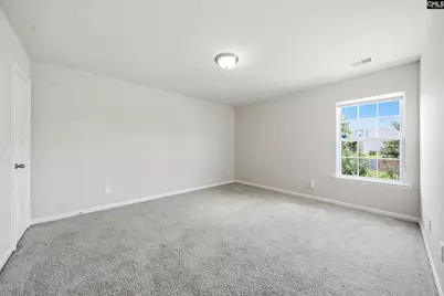 384 Explorer Drive, Chapin, SC 29036 - Photo 23