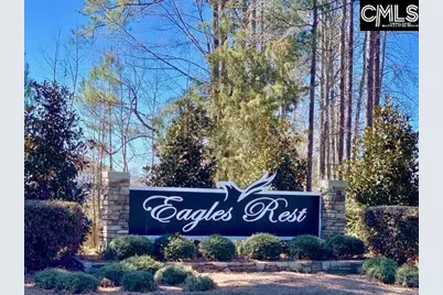 384 Explorer Drive, Chapin, SC 29036 - Photo 29
