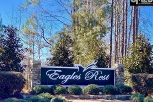 384 Explorer Dr, Chapin, SC 29036 - Photo 29