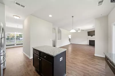 384 Explorer Drive, Chapin, SC 29036 - Photo 9