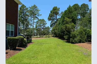 319 Bluestem Drive, Elgin, SC 29045 - Photo 7