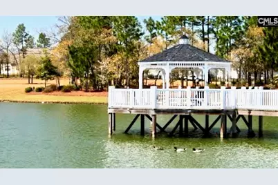 127 Quiet Grove Drive, Lexington, SC 29072 - Photo 5