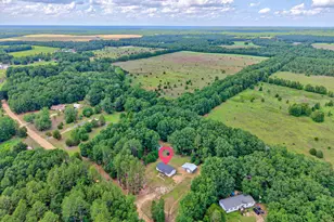 125 Patricia Ave, Pelion, SC 29123 - Photo 25