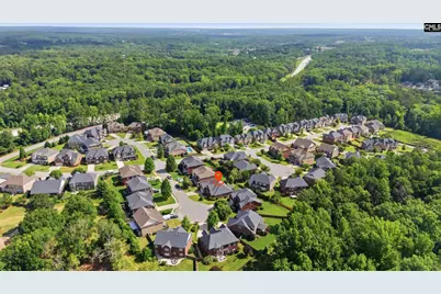 309 Honey Tree Drive, Lexington, SC 29073 - Photo 35