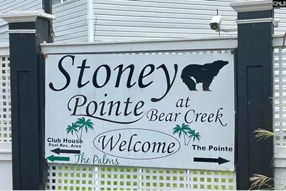 229 Stoney Pointe Drive, Chapin, SC 29036 - Photo 21