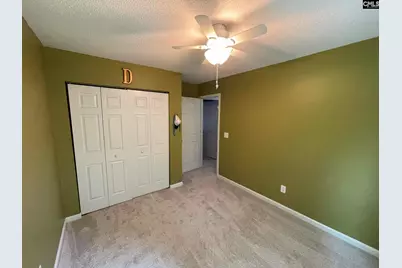 229 Stoney Pointe Drive, Chapin, SC 29036 - Photo 17