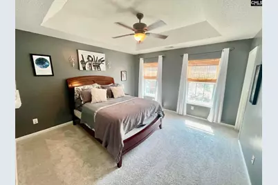 229 Stoney Pointe Drive, Chapin, SC 29036 - Photo 11