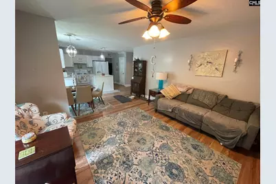 229 Stoney Pointe Drive, Chapin, SC 29036 - Photo 5