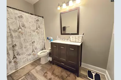 237 Wild Olive Drive, Columbia, SC 29229 - Photo 19